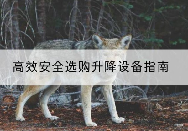 瓯海升降货梯厂家推荐-*安全选购升降设备指南