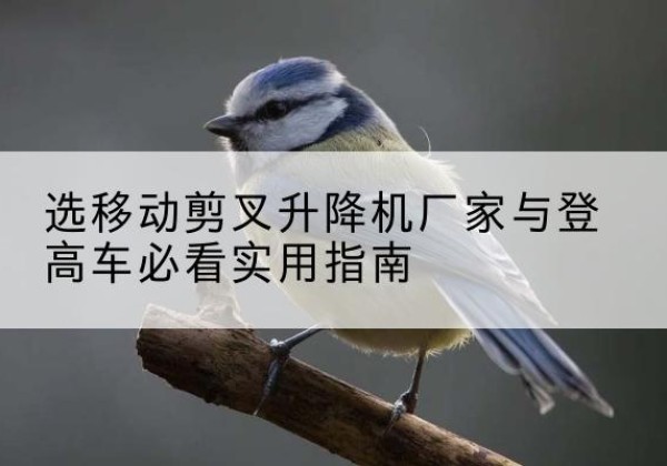 瓯海电动升降机厂家-选移动剪叉升降机厂家与登高车必看实用指南