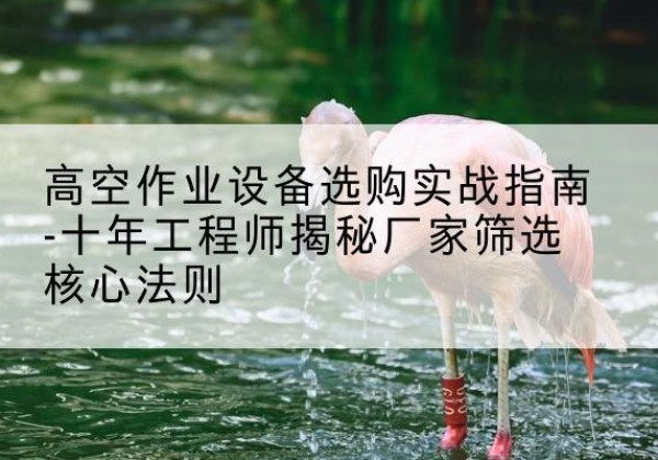 瓯海剪叉式升降机厂家-高空作业设备选购实战指南-十年工程师揭秘厂家筛选核心法则